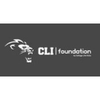 College Life Italia Foundation logo - Similar company to Lesgo Usa