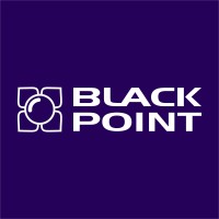 Black Point S.A. Official logo - Similar company to Twoja Strefa Szkód