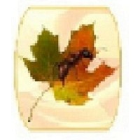 Eco Pest Sdn Bhd logo - Similar company to Pest React Sdn