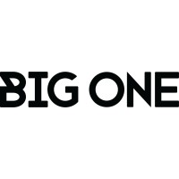 BIG ONE s.r.l. logo - Similar company to Insubriass