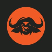 Safari Outdoor logo - Similar company to Innovative Learning Solutions-Vacancies Available