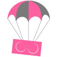 Send Mammogram logo - Similar company to Finequities