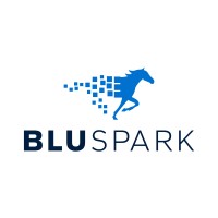 Bluspark logo - Similar company to Bluspark