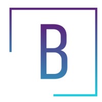 Banshee Marine Audio logo - Similar company to Poly-Planar
