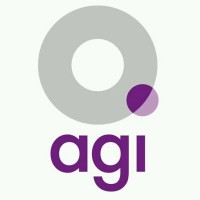 AGI Northern Ireland logo - Similar company to Rogue Creative Media
