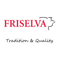 FRISELVA S.A. logo - Similar company to Lv Global
