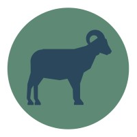 Schaapfulness logo - Similar company to Beer N Tea