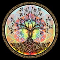Magalies Wellness Centre logo - Similar company to Evolutionary Power Institute
