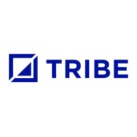Tribe Infrastructure Group logo - Similar company to Amberside Advisors