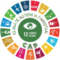 Climate Action Pakistan logo - Similar company to Climate Change Pakistan (Ccp)