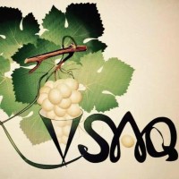 Festillant VSAQ logo - Similar company to Vignobles Meyre