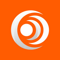Data Storage Security logo - Similar company to Data Storage Corporation