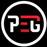 Power Electronics Group logo - Similar company to Axion Electronics