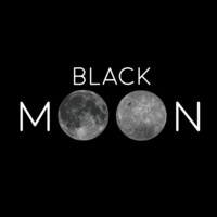 Black Moon, LLC logo - Similar company to Mind First Foundation