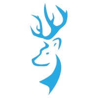 blueCaribou Software Solutions logo - Similar company to Arcnine Solutions
