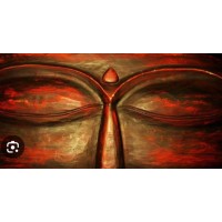 Shambhavi Mahamudra logo - Similar company to Sambhav Jain
