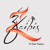 Zaibis Online Store logo - Similar company to Flooid Solutions