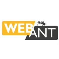 Webant logo - Similar company to Pda It Solutions
