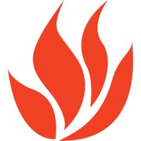 Flavors from Afar logo - Similar company to The Tiyya Foundation