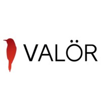 VALÖR KAPLAMA VE METAL SAN. TİC. LTD. ŞTİ.