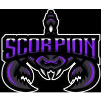 Scorpion Transportation Services logo - Similar company to Avalon Chauffeured Services