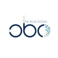 One Blue Ocean logo - Similar company to Oceanicu Project