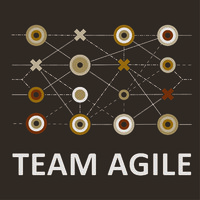 Team Agile logo - Similar company to Team Agile