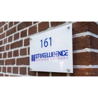 Stratelligence logo - Similar company to Crayonic