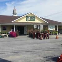 Binley Florist