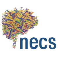 Necs - Núcleo De Estudos Da Consciência E Singularidade