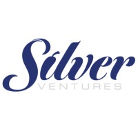 Silver Ventures logo - Similar company to Pullman Market