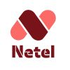Netel Oy logo - Similar company to Netel Group