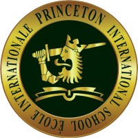 Princeton International School logo - Similar company to Runner Egypt