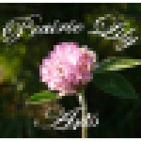 Prairie Lily Arts