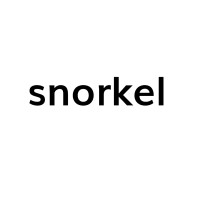 snorkel group logo - Similar company to Lead Architects