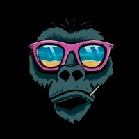 Monkey Roofing Maintenance & Restoration logo - Similar company to Rays Roofing Solutions