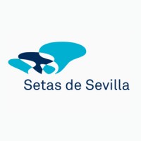 Setas de Sevilla logo - Similar company to Hipotea