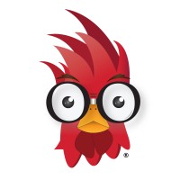 Design Rooster logo - Similar company to Surge Analytics Inc.