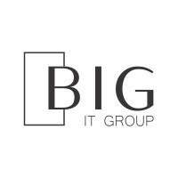 BSG IT GROUP logo - Similar company to Leosoft Ltd