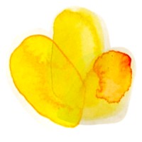 Floral logo - Similar company to Ract
