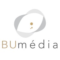 Bumedia logo - Similar company to Biumedia
