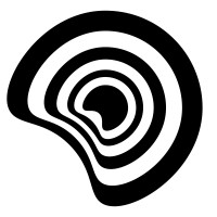 Niso Dynamic logo - Similar company to Trendplus Ab