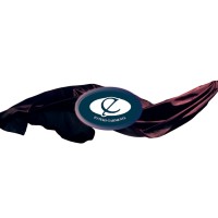 EyteksGarments logo - Similar company to Melide Tekstil San. Ve Tic. Ltd. Şti.