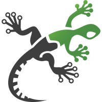Gecko Digital logo - Similar company to Pacific Academy