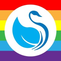 The Silver Lining Foundation logo - Similar company to Pride Tt