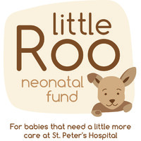 Little Roo Neonatal Fund logo - Similar company to Gate Street