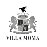 Villa Moma logo - Similar company to Vifaf Virtual International Fine Art Fair