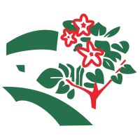 LSA logo - Similar company to Plug Industry