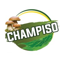 CHAMPISO TOGO Officiel logo - Similar company to Nextepcreative