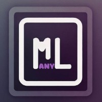 MLany logo - Similar company to Learningchain